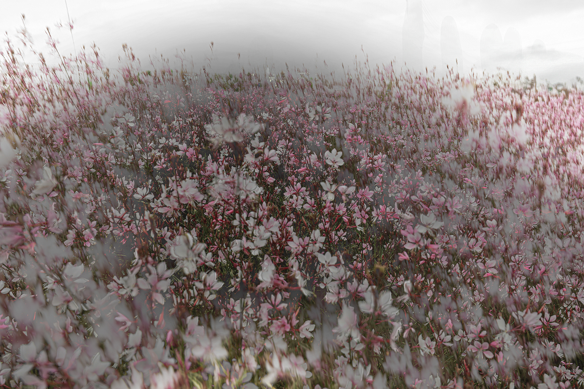color 9