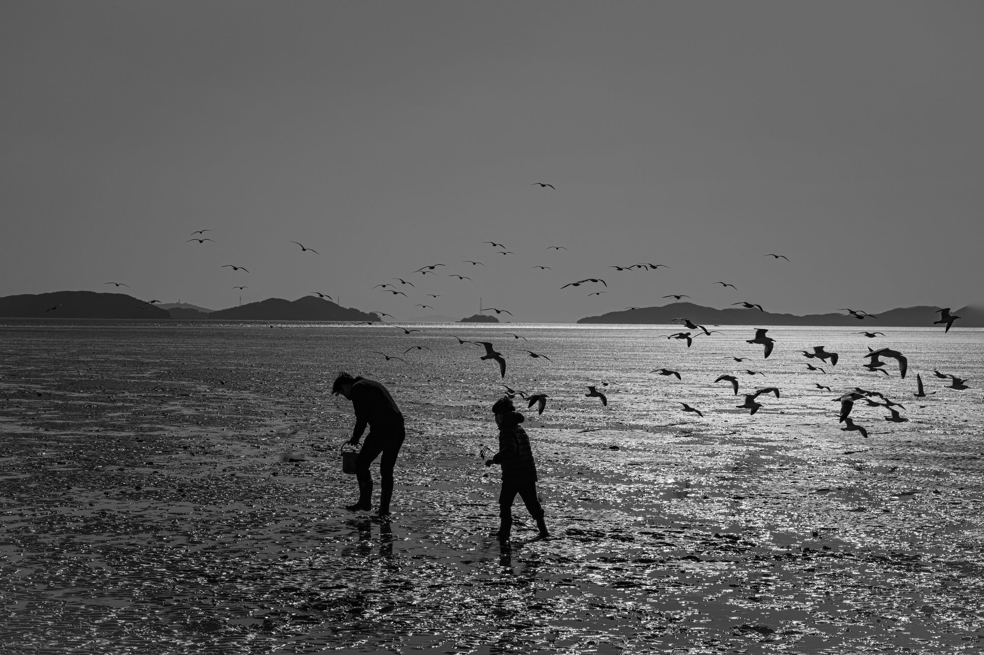 Tidal flat